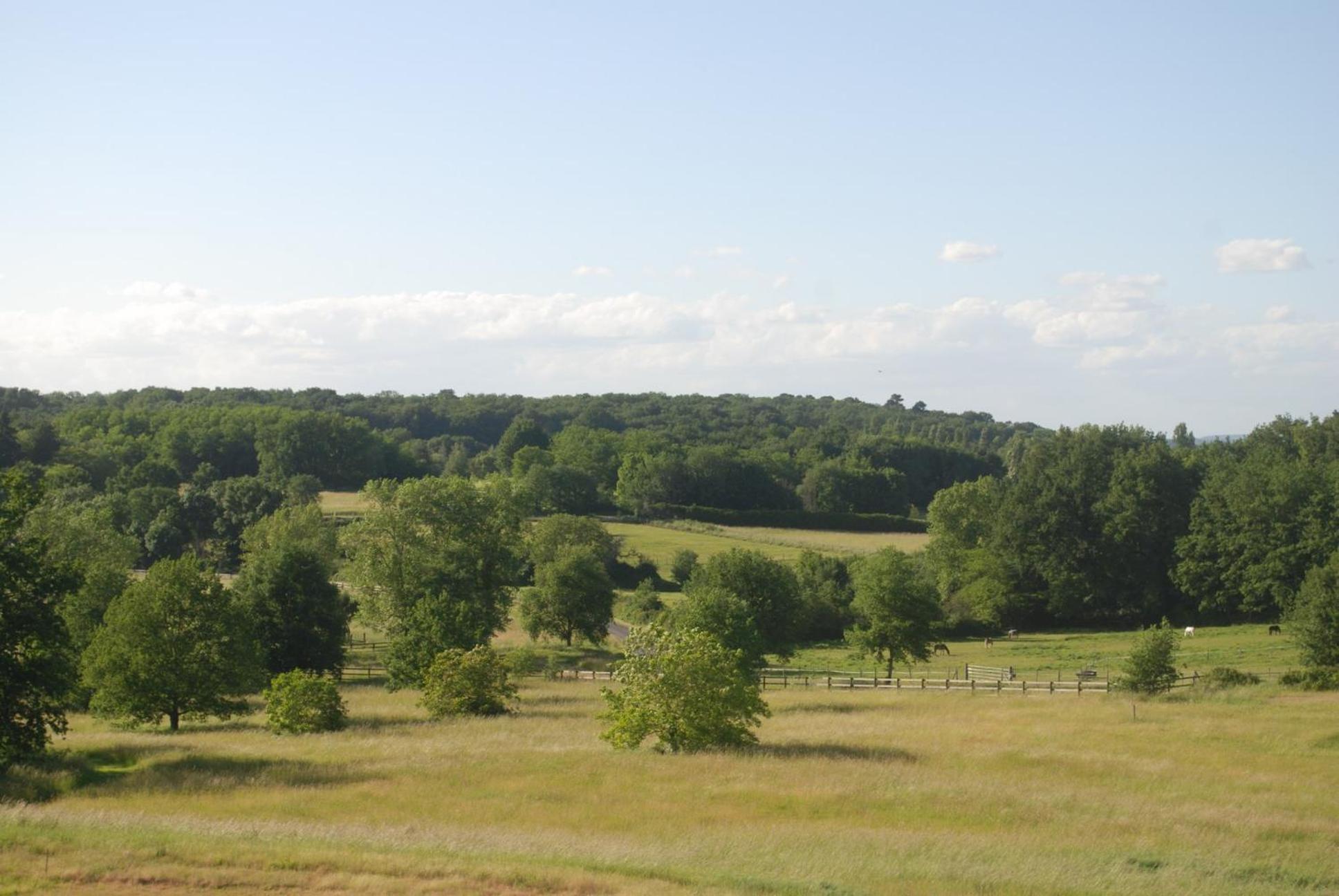 Apartmán Domaine Equestre De La Chenaie Saumur Exteriér fotografie