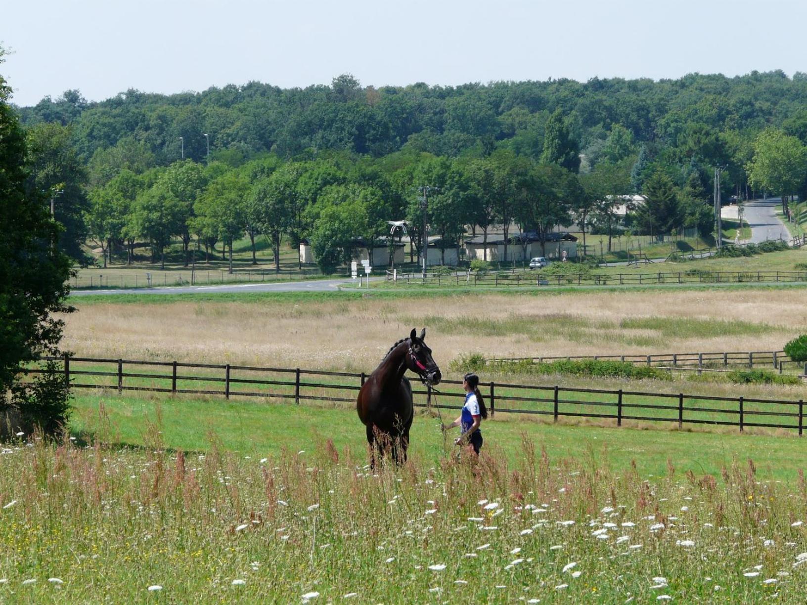 Apartmán Domaine Equestre De La Chenaie Saumur Exteriér fotografie